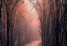 爱沙尼亚队战胜荷兰，备战欧洲杯：足球的激情与未来的曙光